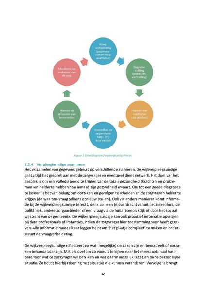 Bestand:Verpleegkundige indicatiestelling - een nadere duiding.pdf